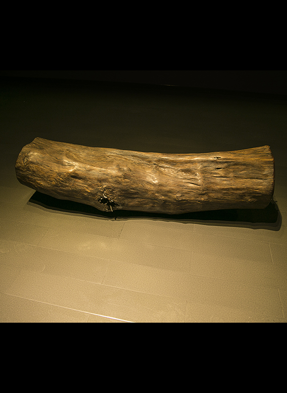 原木系列《膨胀的欲望》：材质 红酸枝原木 纯银   尺寸 150X30X30 厘米